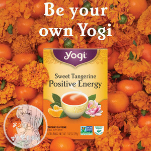 Yogi tea柑橘能量花茶早茶positive花草茶含咖啡因16包
