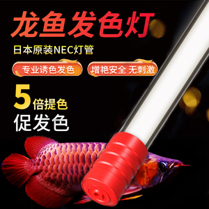 日本NEC鱼缸灯龙鱼专用灯潜水烤色灯龙鱼发色灯6700K红龙鱼增艳灯