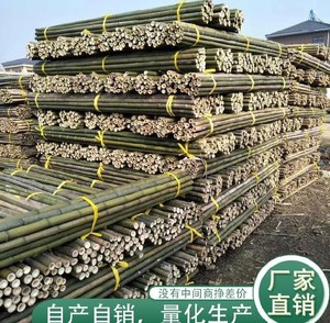 竹杆苦瓜搭架竹小型支柱多用细竹农用蕃茄丝瓜竹栅栏竹棒根菜支杆