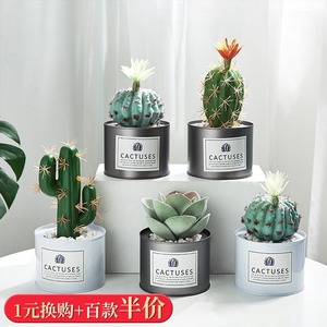 北欧ins仿真植物盆栽摆件创意假多肉盆景室内客厅办公室桌面装饰 阿里巴巴找货神器 北欧ins仿真植物盆栽摆件创意假多肉盆景室内客厅办公室桌面装饰 阿里巴巴找货神器