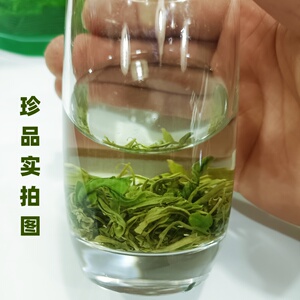 2024新茶江西遂川狗牯脑茶叶汤湖高山云雾茶特级炒青绿茶珍品贡品