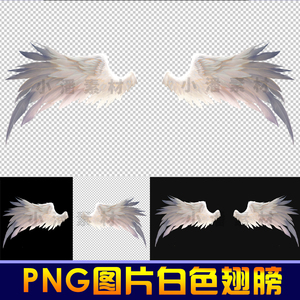 白色天使翅膀PNG透明免抠高清图片背景游戏特效后期PS设计素材