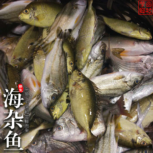 冰鲜小杂鱼大量批发,冰冻小鱼批发元斤,大量批发冷冻杂鱼(第21页)_大山谷图库