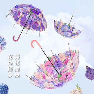拱形半自动雨伞女新款绣球花印花长柄伞弯柄轻量纤细磨纱女透明伞
