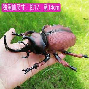 独角仙雨林蝎子屎壳郎蜘蛛蚂蚁蜻蜓锹甲瓢虫巨型超大昆虫甲虫玩具