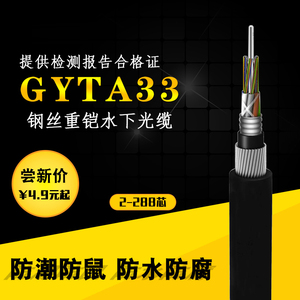 GYTA33-8B1水下层绞式直地埋防鼠咬重铠光纤光缆6/12/24/48/72芯