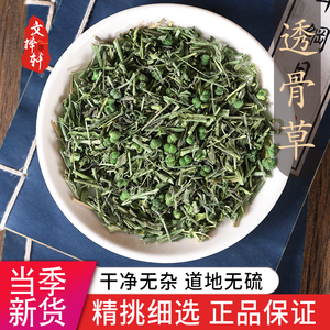 中药材特级野生透骨草50g克透骨草粉中草药泡脚正品珍珠透骨草