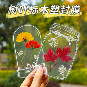 枫叶树叶标本粘贴画天然干花diy材料植物压花真花银杏叶子落叶画