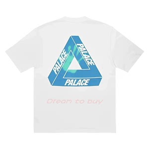 PALACE 23SS热感系列 温感热感应变色三角印花 男女休闲短袖T恤潮