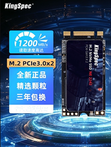 金胜维M2 NVME协议2242 128G 256 512G 1T固态硬盘P52S G540 T480