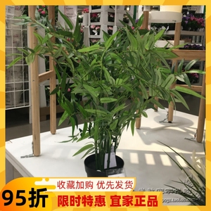 0.7宜家FEJKA菲卡 人造盆栽植物 竹子 家居装饰防真绿植