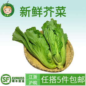 惠鲜汇 新鲜芥菜500g新鲜蔬菜有杭州同城配送