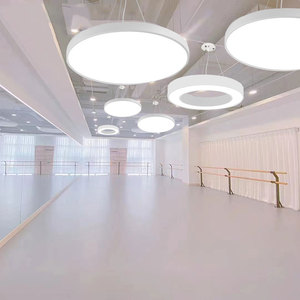 现代简约吊灯舞蹈学校前台一米二灰色圆灯成人舞瑜伽教室大气吊灯