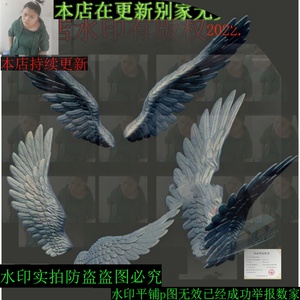 三维立体图圆雕图图纸stl文件羽毛翅膀天使翅膀雕刻机3d模型581