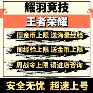 王者荣耀代练金币周上限代打刷1-30等级经验苹果安卓战令赵怀真