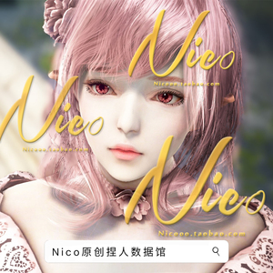 Nico原创-女法师 黑色沙漠PC端捏脸数据 女巫 女法 witch 由美