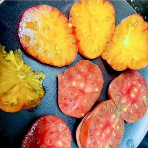 砰砰园艺 母亲的老番茄【种子】 菜友推荐 编号：348