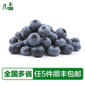 【凡萃生鲜】新鲜蓝莓125g 新鲜时鲜水果江浙沪满5件包邮