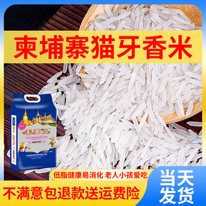 猫牙米长粒香米原粮进口大米2023年新米5斤柬埔寨丝苗米炒饭专用