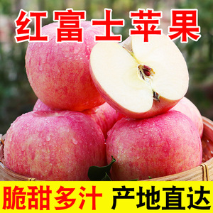 苹果水果红富士陕西高山苹果脆甜多汁当季新鲜丑苹果粉面香甜5
