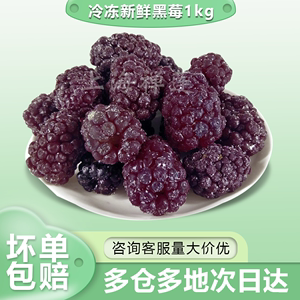 新鲜冰冻黑莓速冻水果冷冻黑莓1kg鲜果商用奶茶甜品蛋糕果汁果酱