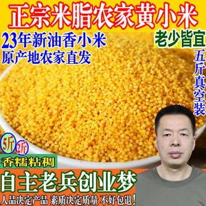 23年新米陕北米脂小米农家自种黄小米粥小黄米香糯粘稠杂粮2斤5斤