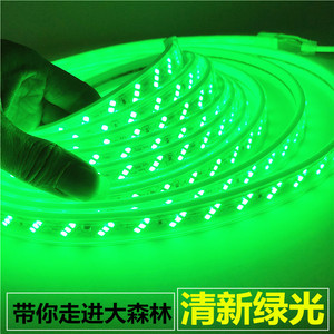 LED灯带条绿色220V绿光灯带户外防水超高亮公园绿植亮化装饰线灯
