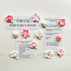 小清新树脂装饰冰箱贴磁贴磁铁贴  田园花朵创意白板贴卡通磁性贴