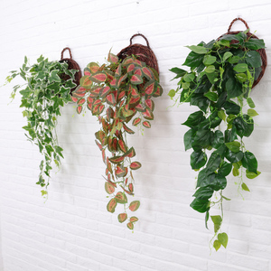 挂墙面遮空调管仿真植物室内绿萝吊兰塑料假花藤条装饰绿植壁挂花