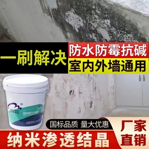 背水面地下室防水防霉涂料内墙屋顶起碱返潮补漏材料负水压背水涂