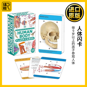 英文原版 Our World in Pictures Human Body Flash Cards 人体闪卡 DK儿童科普百科 英文版 进口英语原版书籍