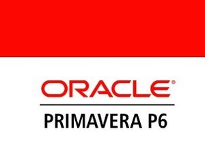 primavera p3/p6工程项目管理软件 送视频教程 实例 23.12 最新版