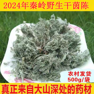 2024年新货茵陈绵茵陈中草药三月茵陈草 白篙茵陈茶500克干茵陈