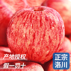 正宗陕西洛川苹果10斤应当季新鲜水果整箱包邮红富士冰糖心脆甜