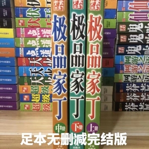 极品家丁小说全集全套大结局热门穿越历史爽文言情畅销书籍玄幻小