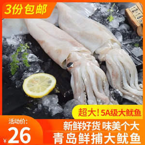 青岛新鲜海捕大鱿鱼整只1斤1条鲜活冷冻大章鱼海鲜铁板烧烤食材