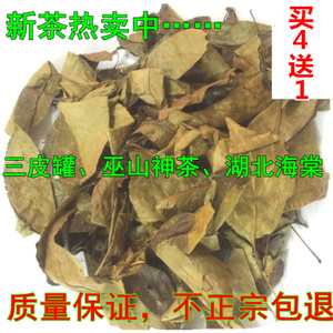 买4送1】重庆特产巫山神茶 觚子茶三皮罐100g/袋凝清茶叶夏季凉茶