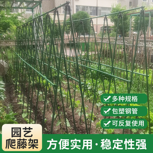 黄瓜爬藤架豆角蔬菜架杆植物固定支撑杆架子包塑钢管种菜专用架子