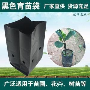 黑色百香果桉树苗专用育苗袋营养钵营养杯种植袋可重复使用