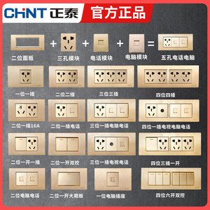 正泰118型墙壁开关插座NEW5D钢架香槟金二位二插十五孔二十孔面板
