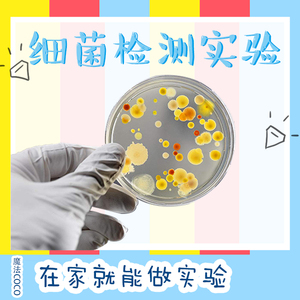 微生物真细菌培养检测生物科学中小学生实验材料STEAM创客制作DIY