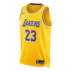 NIKE耐克詹姆斯球衣男篮球洛杉矶湖人队NBA JERSEY无袖T恤009-733