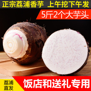 大芋头荔浦5斤农家芋头广西桂林特产新鲜蔬菜槟榔芋头香芋