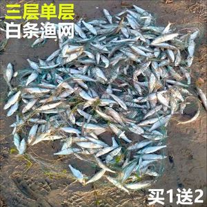 小网眼渔网加密半指1指50米单层网粘网丝网沉网浮网白条网餐鱼网