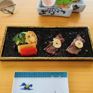 日本料理陶瓷餐具长方条寿司刺身拼盘烧鸟烤肉秋刀鱼碟日式煎饺盘