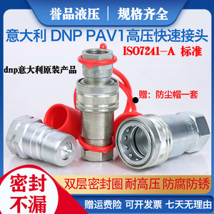 意大利DNP液压快速接头原装进口PAV1.1313油压高压双自封快插