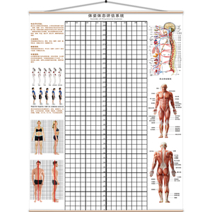 体姿体态评估表健身房体测网格瑜伽馆私教中心体位矫正图壁画墙纸