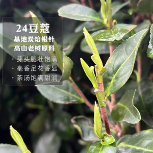 【新茶预售】24生态茶园白毫银针头采福鼎白茶茶阳村基地老树500g