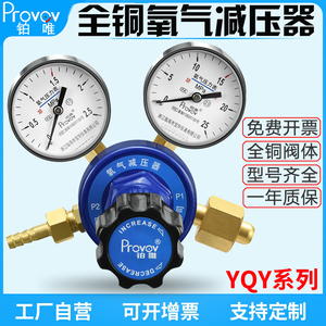 氧气减压器YQY-07全铜调压器压力表调压阀气体钢瓶减压阀稳压临海