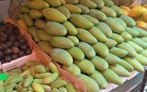 西双版纳水果泰国大青芒版纳脆芒果进口芒果亚洲热带水果包邮10斤